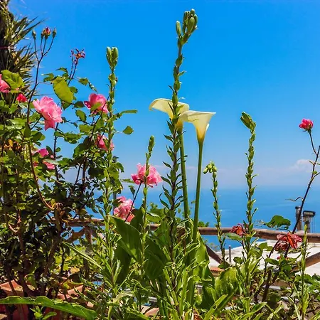 Villa Matilde Amalfi Exterior photo