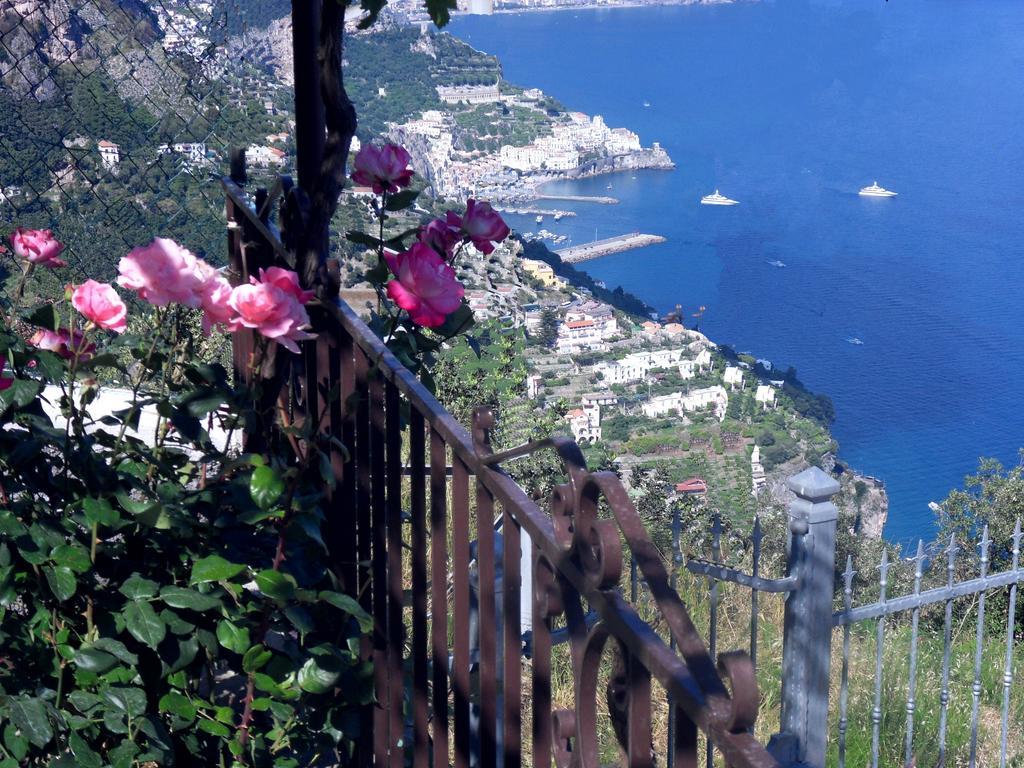 Apartment Matilde